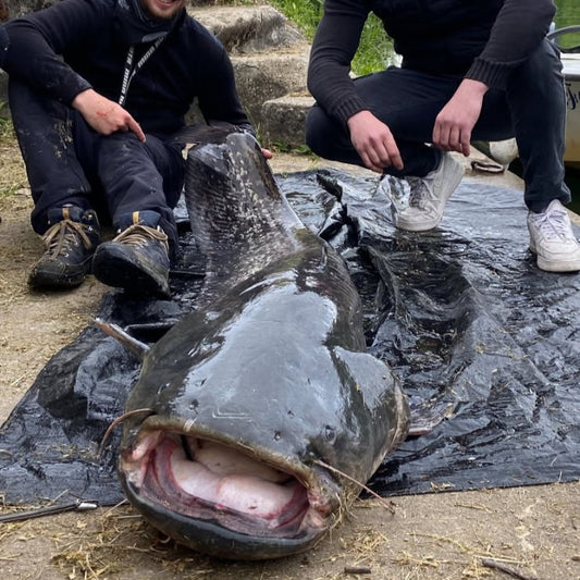 Abonnement Pêche Silure – "Monster Ready"