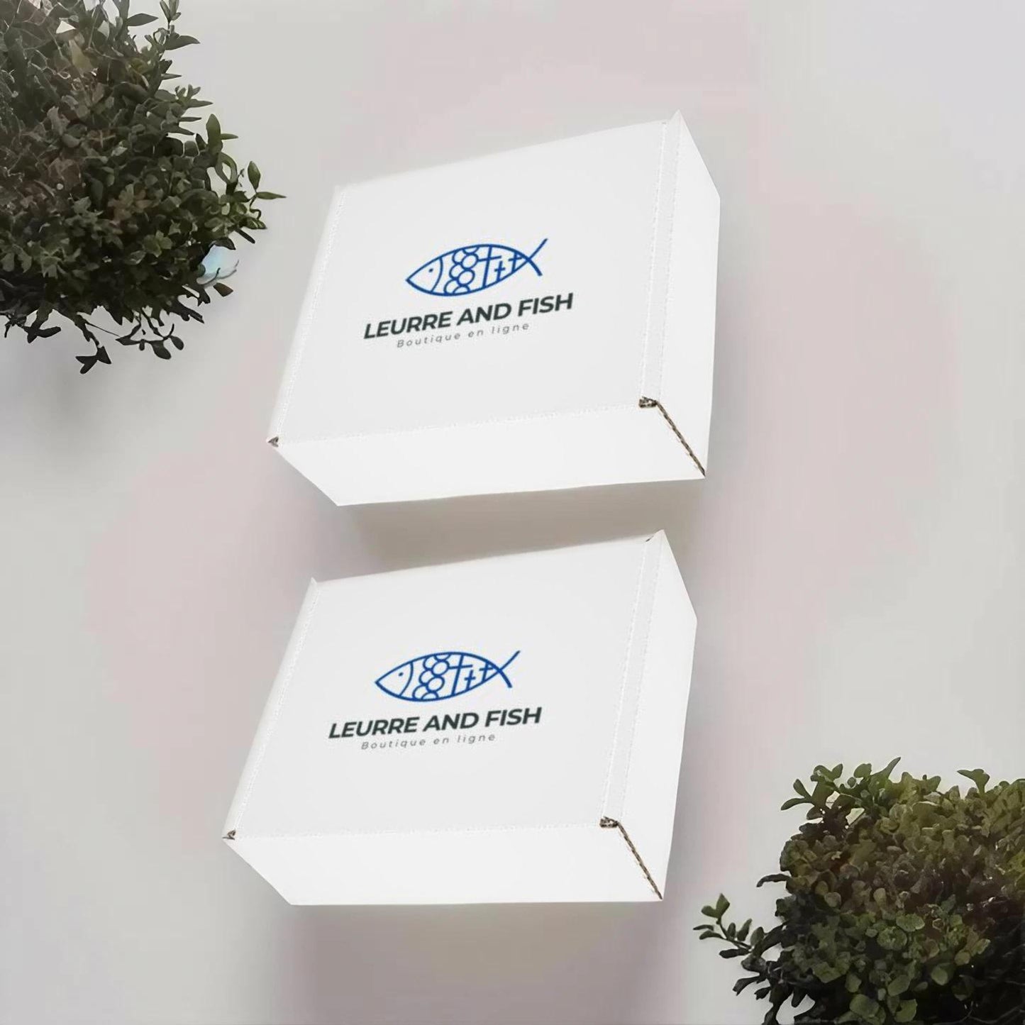 box de pêche